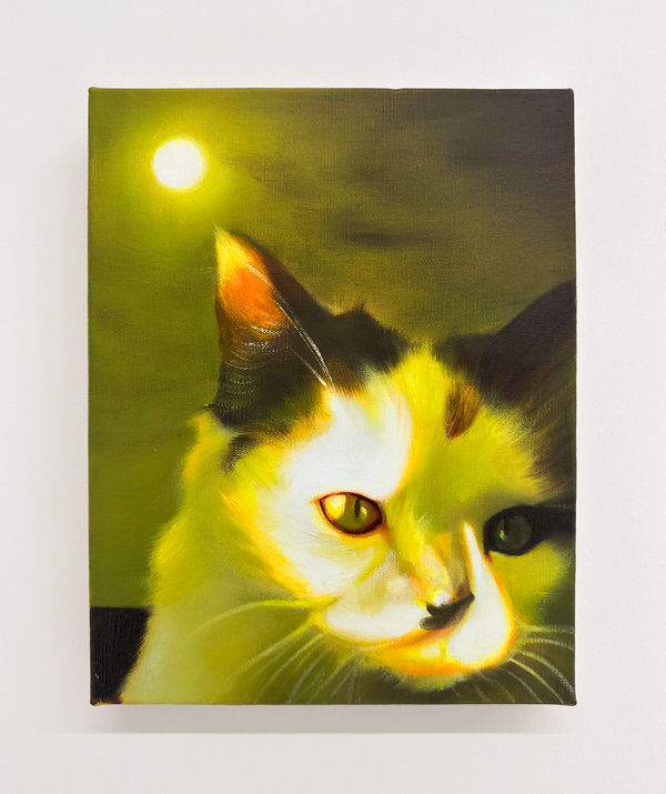 Tao Siqi 陶斯祺, Moonlight 月光, 2024