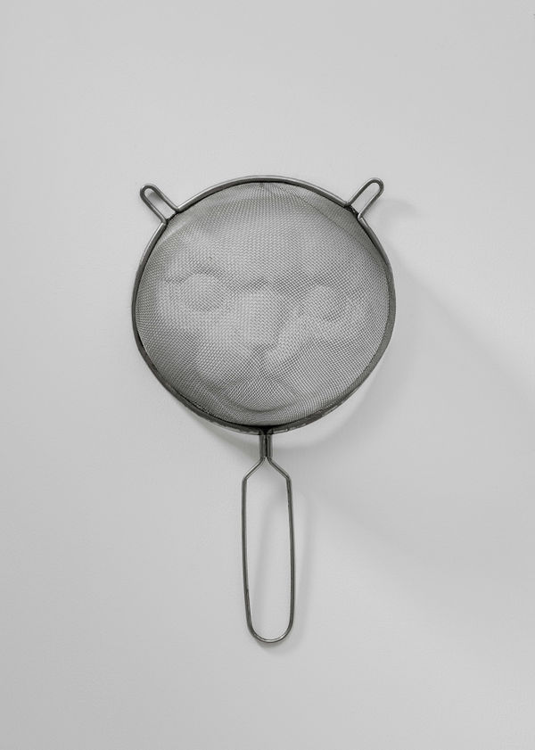 Tian Jianxin 田建新, Feline Filtration 猫滤, 2021