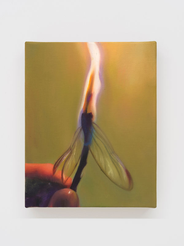 Tao Siqi 陶斯祺, Fading 消逝, 2025