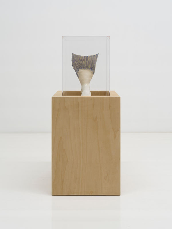 Miranda Fengyuan Zhang 张丰渊, FF001, 2025