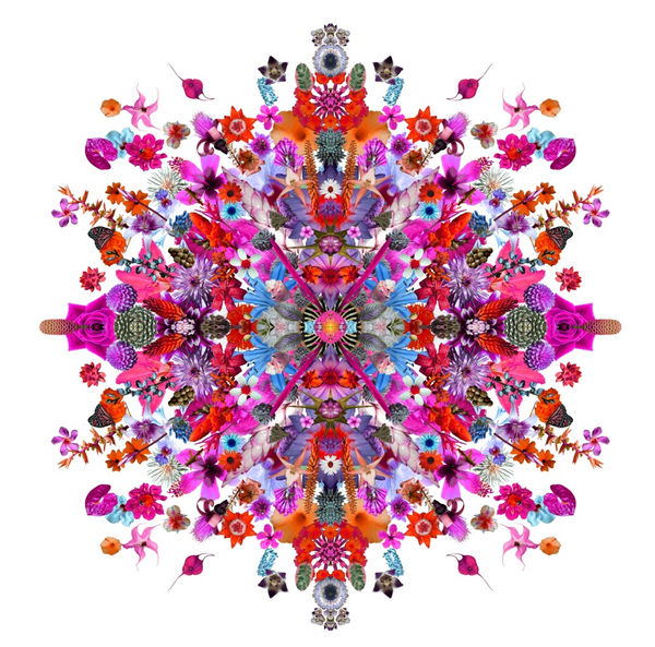 Carlos Betancourt, Re-Collections X, color, 2010