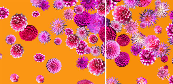 Carlos Betancourt in collaboration with Alberto Latorre, Untitled, corporate commission wall paper and other elements, ICART, (wall paper detail), 2013-14