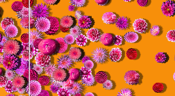 Carlos Betancourt in collaboration with Alberto Latorre, Untitled, corporate commission wall paper and other elements, ICART, (wall paper detail), 2013-14