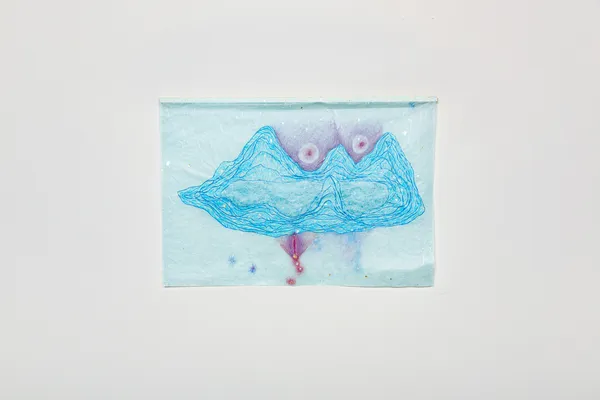 Sophia Pinheiro, Já me transformei em água, 2025