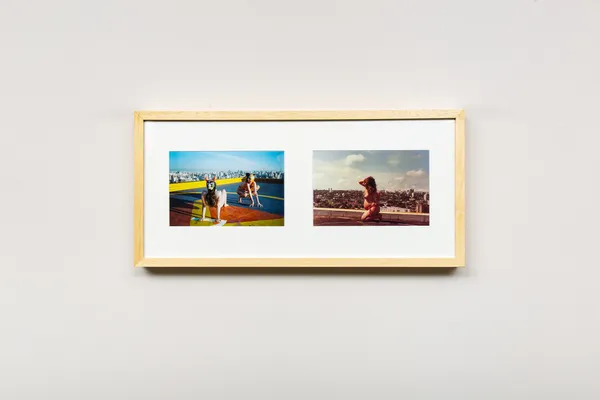 Sophia Pinheiro, Vândalas Mascaradas da série Festa da Fúria, 2025