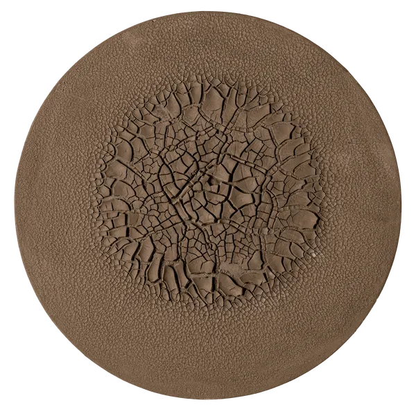 Belony Alma Ferreira, Sem título, 2003