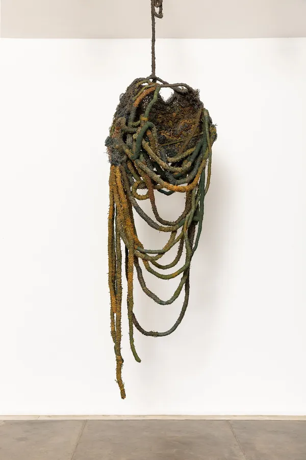 Nara Guichon, Crustáceo dormente, 2022