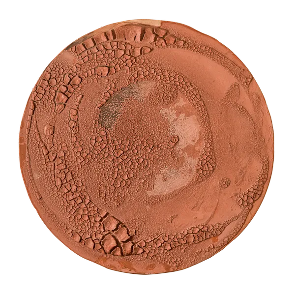 Belony Alma Ferreira, Sem título, 2007