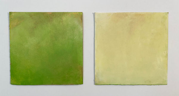 Daisy Craddock, Newtown Pippin, 2021