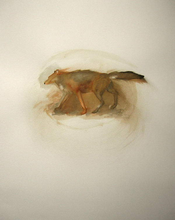 Susan Brearey, Red Wolf, 2023