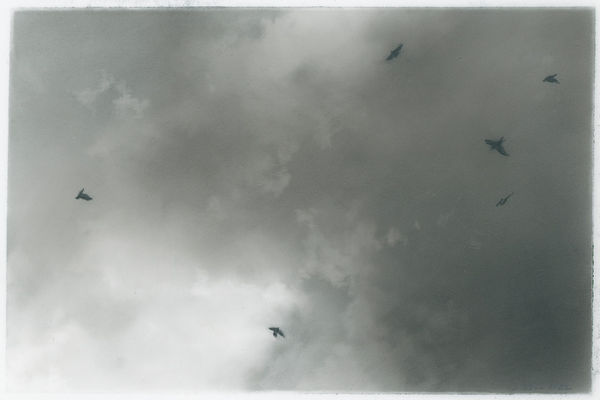 charcoal drawing of sky with birds silhouetted against the clouds