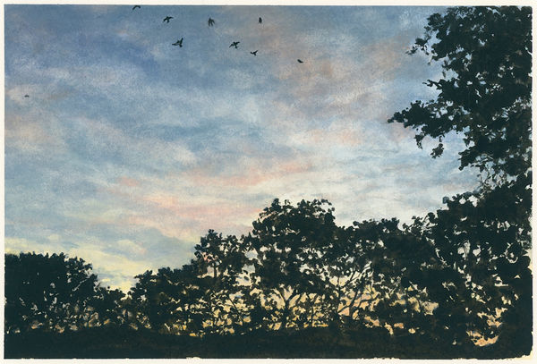 watercolor looking of through trees against the sunset sky
