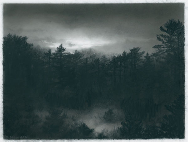 charcoal drawing of dense pine trees with clearing in front. Moonlit sky