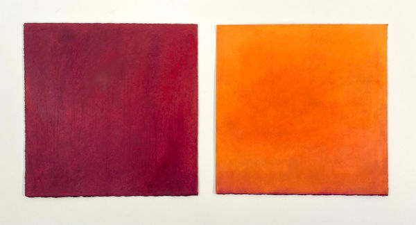 Daisy Craddock, Organic Carrot, 2019