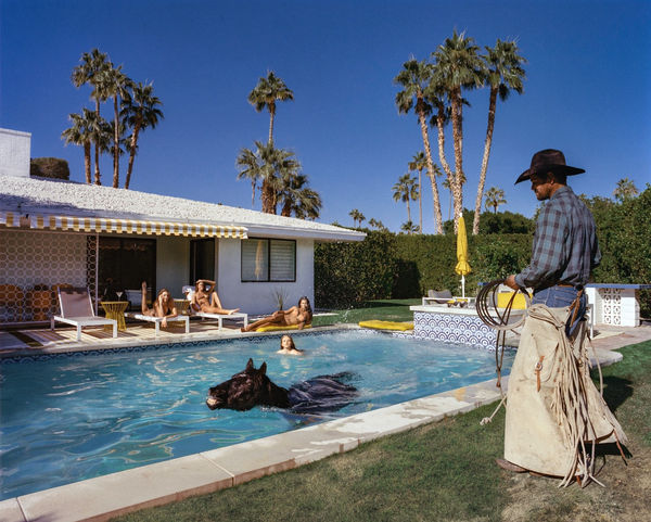 “Playful In Paradise”, photograph by American artist Beau Simmons. Available at Carousel Fine Art.