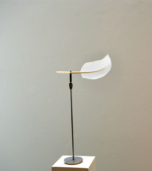 Sobre la dirección en la que sopla el viento