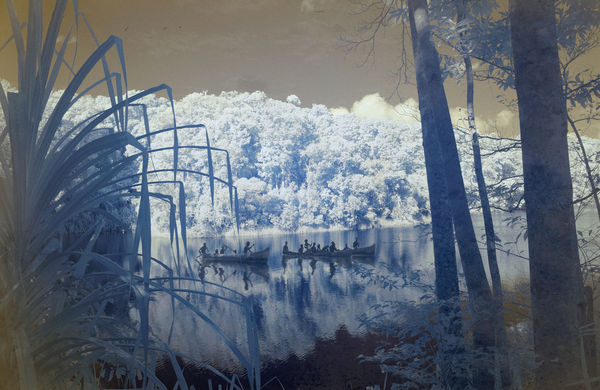 Danie Mellor, At the edge of water (bulin), 2025