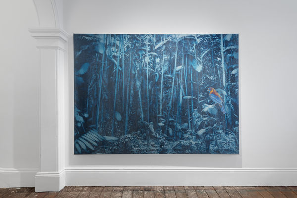 Danie Mellor, dirran: at the edge of the forest, 2025