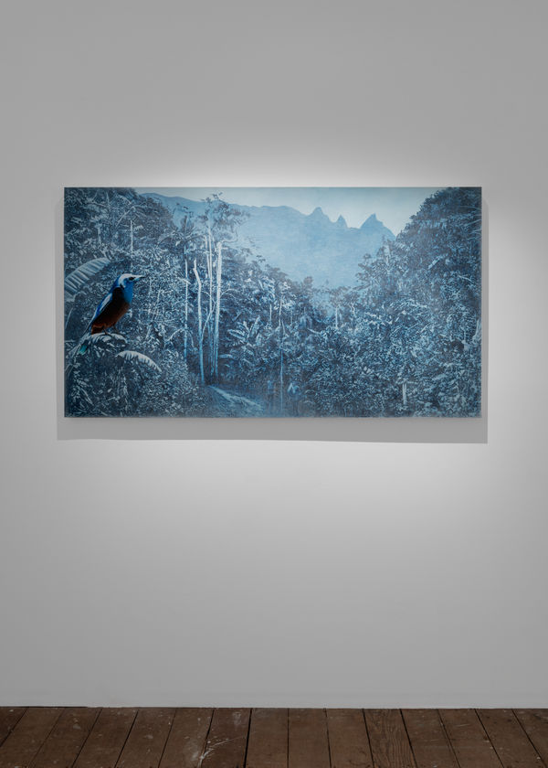 Danie Mellor, The far mountains, 2025