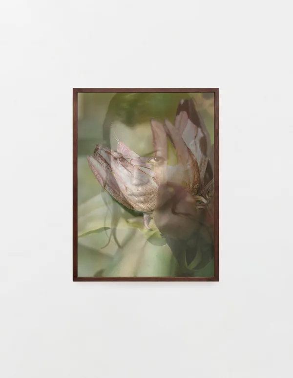 Yves Scherer, Imagine, 2025