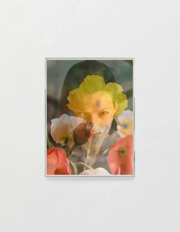 Yves Scherer, Imagine, 2025