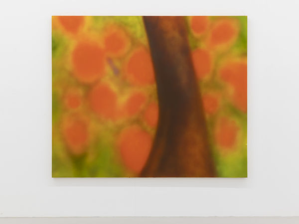 Yves Scherer, Untitled (Landscape), 2020