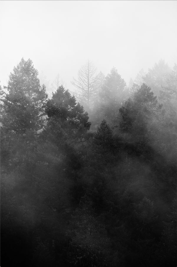 Silver Valley II, Oregon