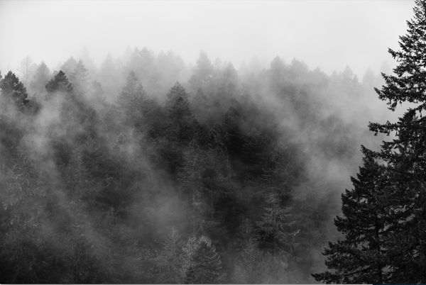 Silver Valley, Oregon