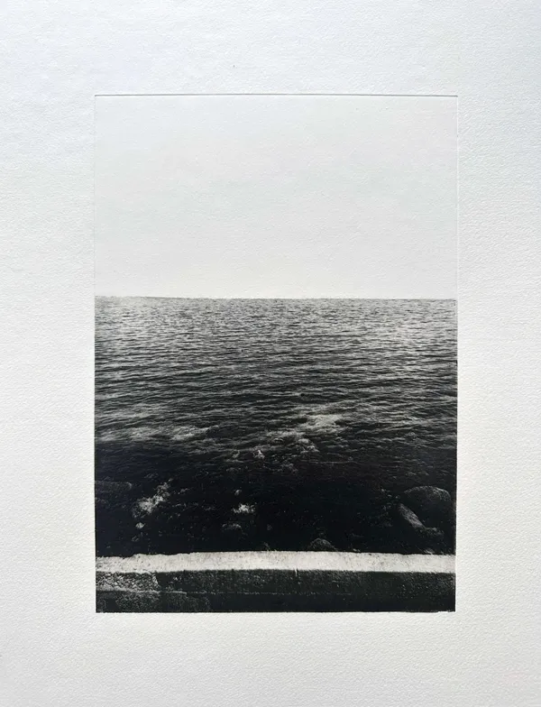 Trina Michelle Robinson, Door of No Return, 2022