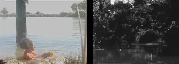 Trina Michelle Robinson, Elegy for Nancy, 2022