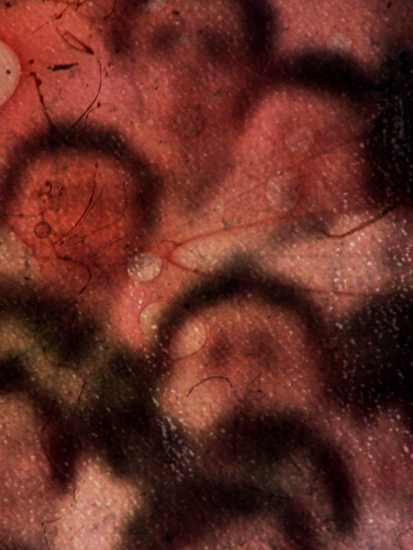 TT Takemoto, May 35 (2019) and HK Uprising (2021).