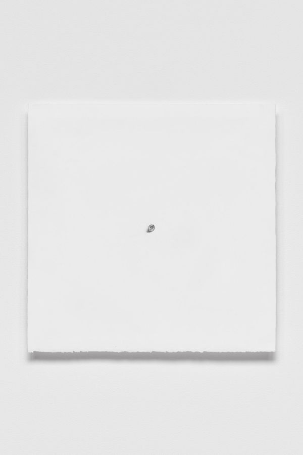 Katherine Vetne, Patrimony (Study II), 2015