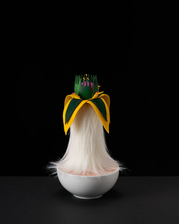 Nina Katchadourian, Fake Plant #30, 2022