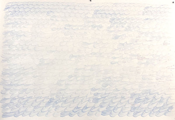 Nina Katchadourian, Savaging the Sea #39, 2020