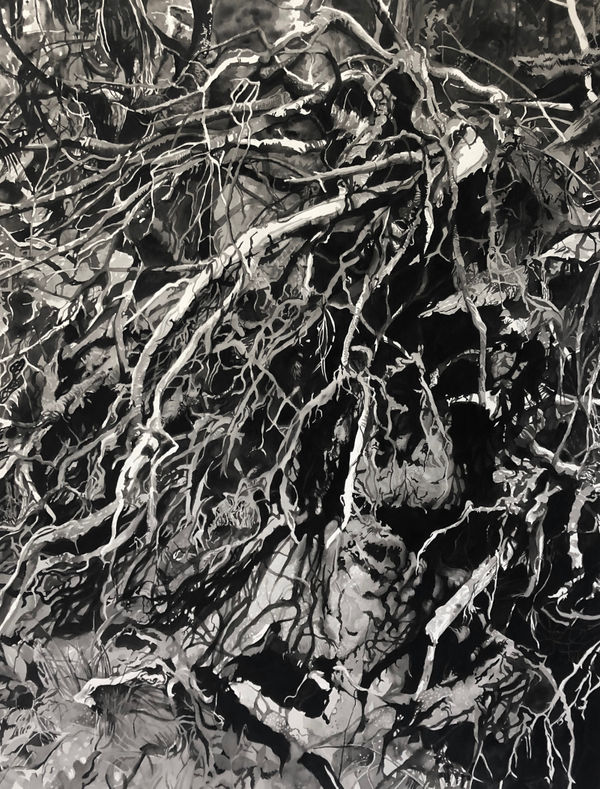 Chris Doyle, Newly Fallen #4, 2020