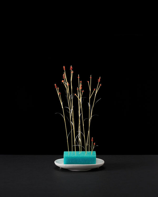 Nina Katchadourian, Fake Plant #7, 2022