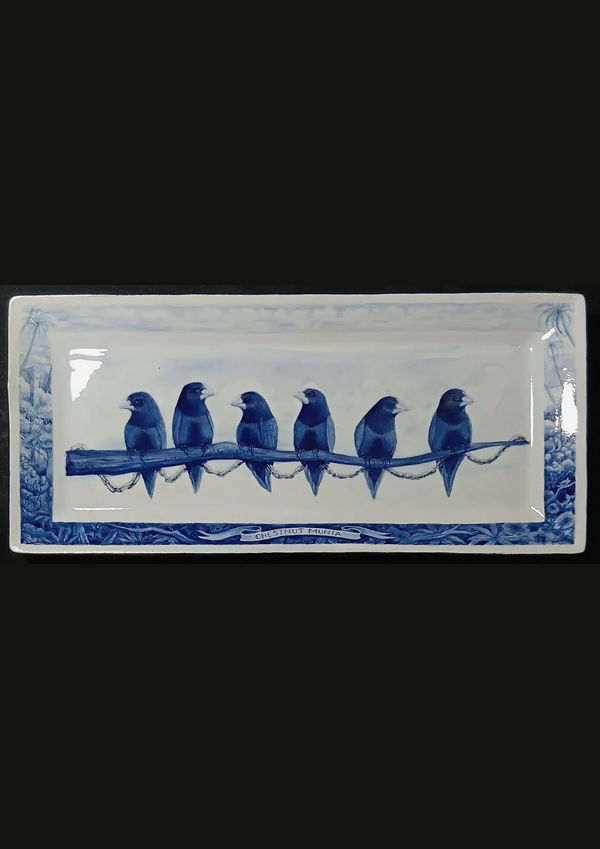 Gil Batle, Maya Chestnut Munia, 2025