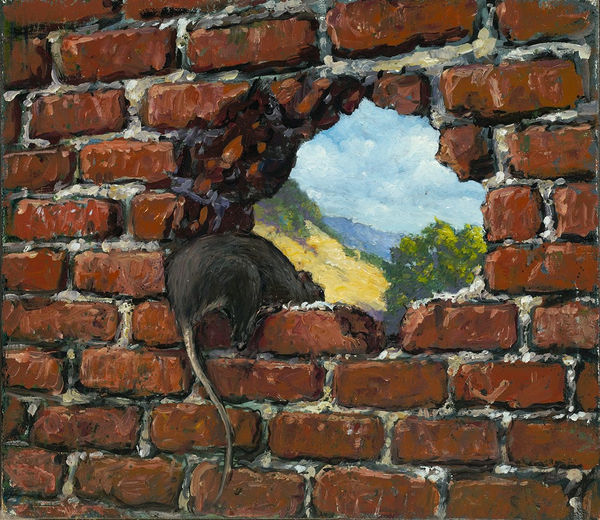 Chester Arnold, Rattus Americanus, 2020