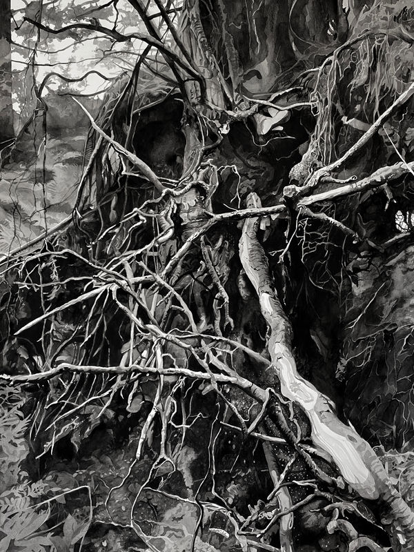 Chris Doyle, Newly Fallen #5, 2020