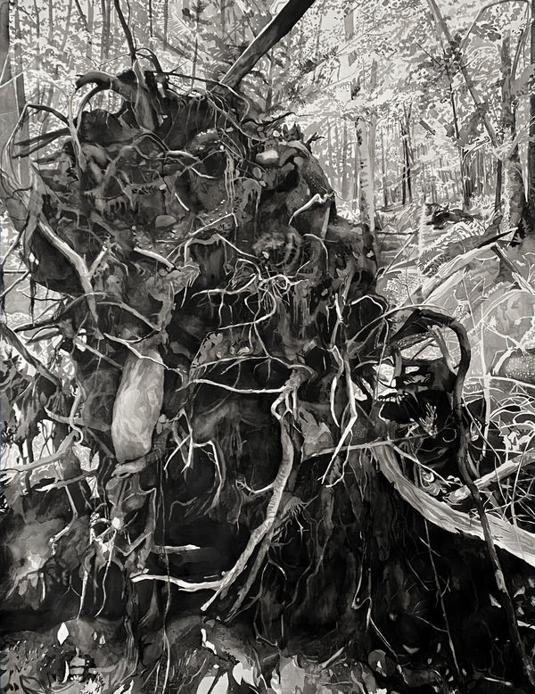 Chris Doyle, Newly Fallen #9, 2020