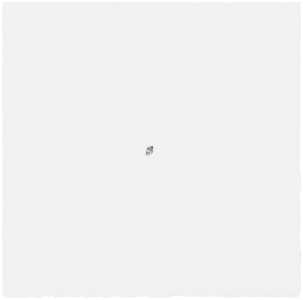 Katherine Vetne, Patrimony (Study IV), 2014