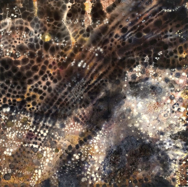 Amy Trachtenberg, Seven Mornings I, 2005