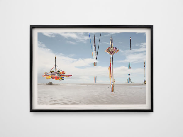 Andy Diaz Hope, Near Distance, after Tulare Lake, 2024