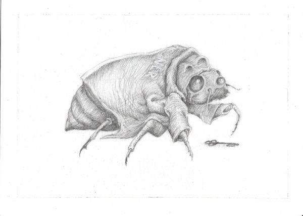 Gil Batle, Bug, 2023