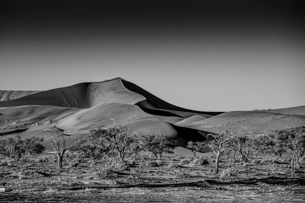 Namib 13