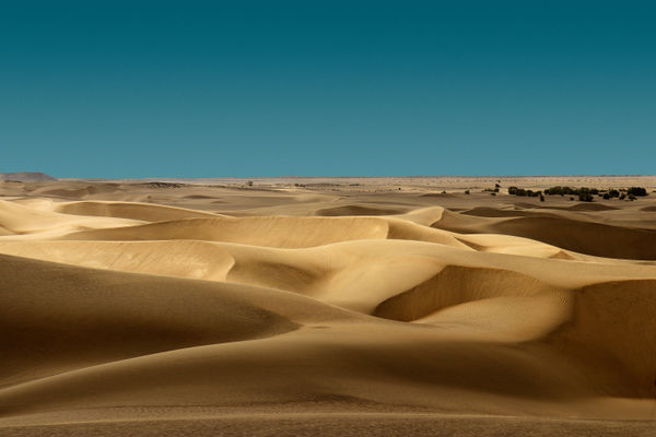 Dunes 1