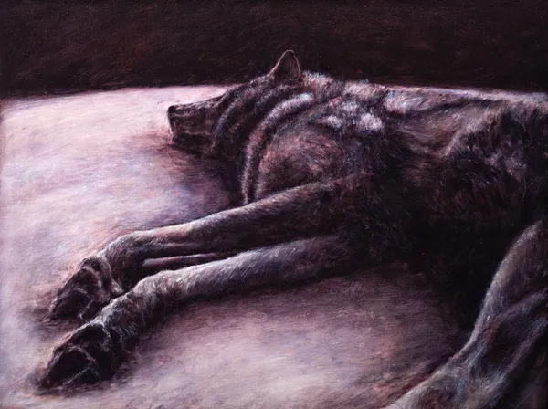 The Lying Wolf 躺臥的狼