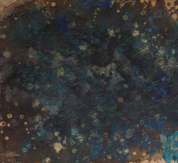 Aquatic grass.II 水草.II