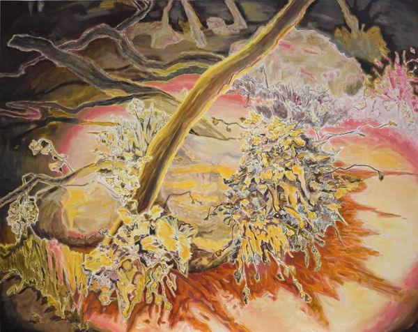 they grow silently on islands