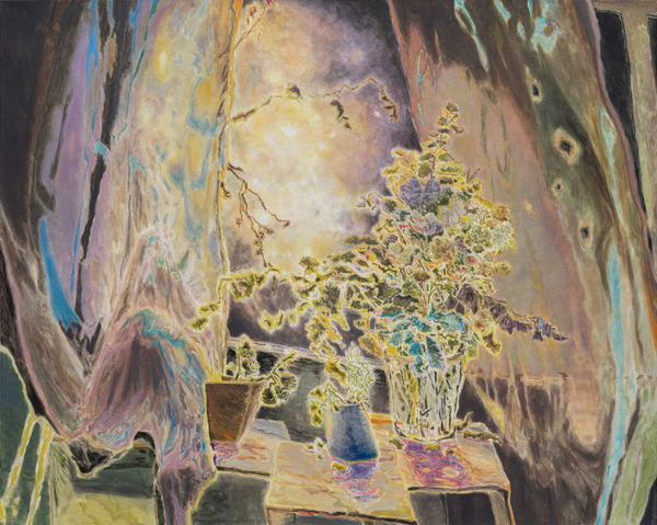 stars that bring the winter